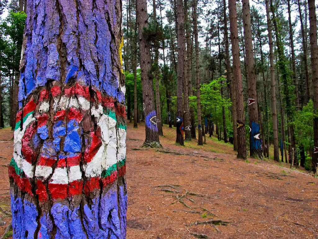 Bosque de Oma - Reserva de Urdaibai
