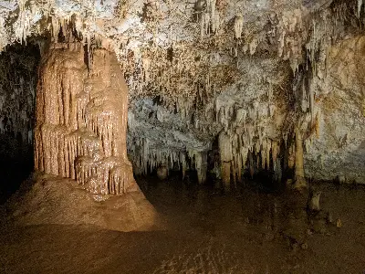 Pozalagua zutabea eta estalaktitak