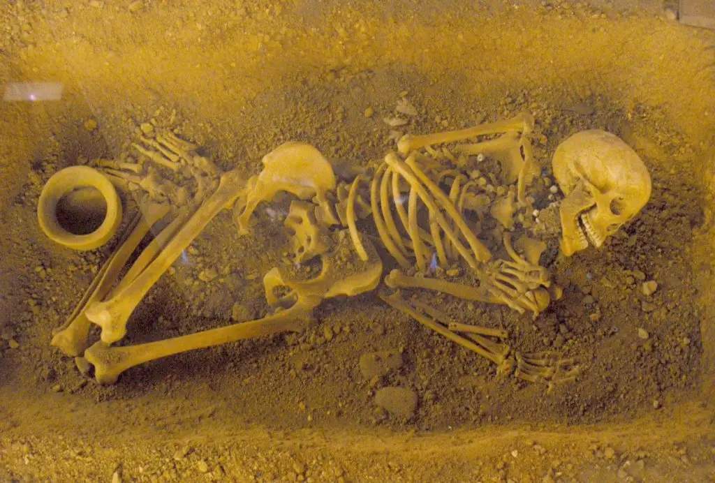 File:Vitoria - Bibat 064.jpg