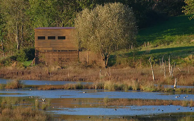 File:Urdaibai Bird Center 06 observatorio.jpg
