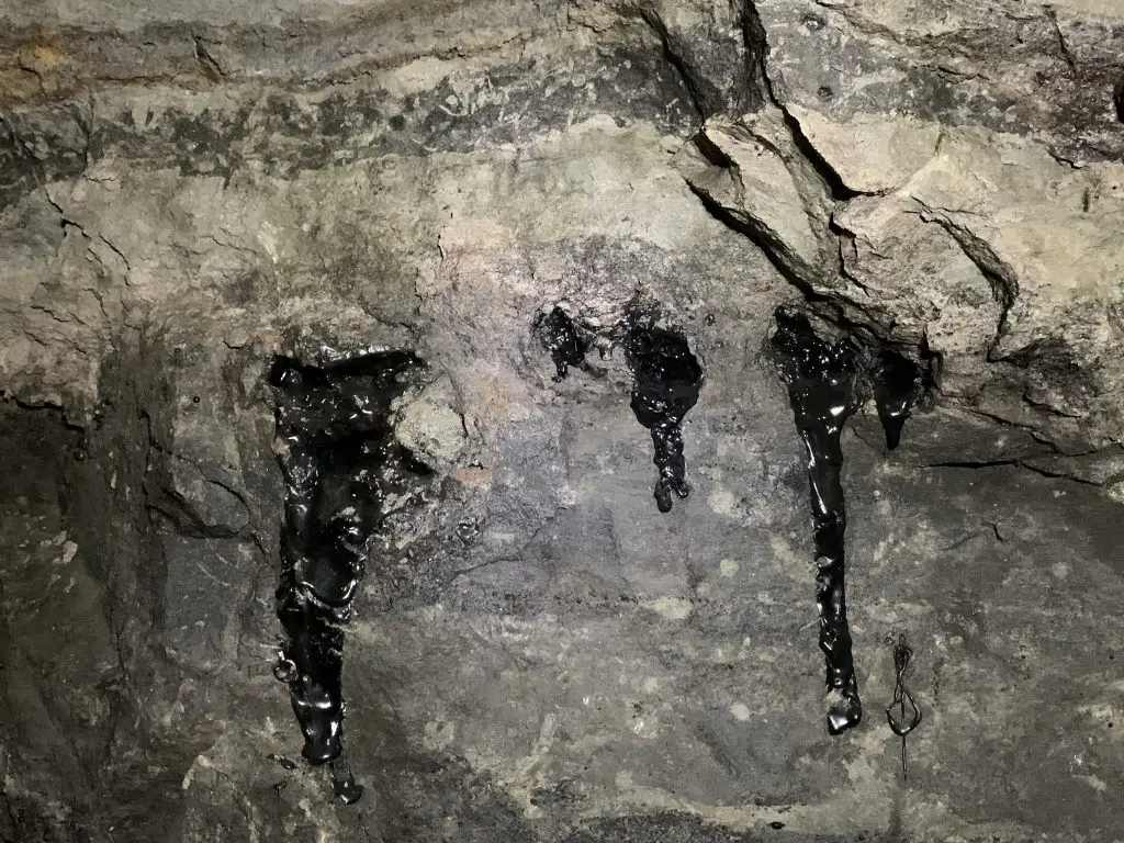 2023-09-03-Wiki Takes Mendialdea-Atauri- 09