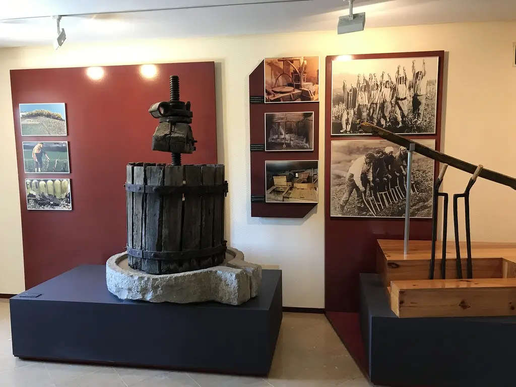 Museo de las Encartaciones en la Casa de Juntas de Avellaneda