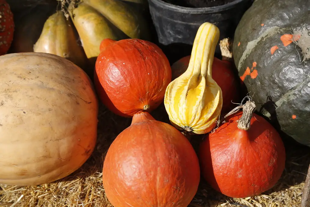 Ultimo lunes de Gernika 2015