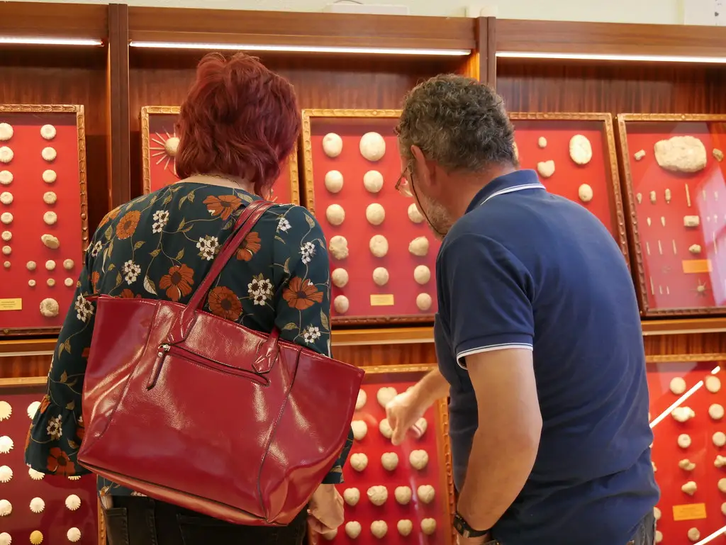 Apertura del centro de exposiciones Orduña Hiria, 15 de mayo de 2019