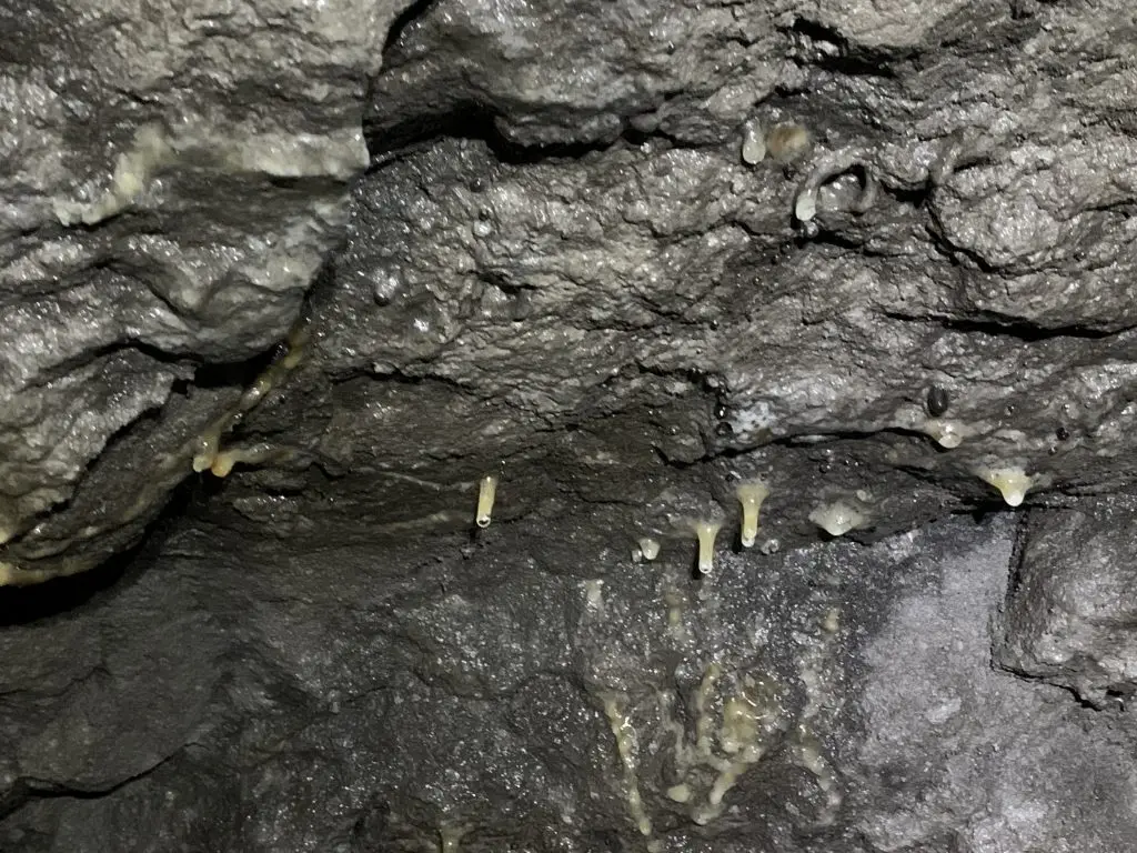 2023-09-03-Wiki Takes Mendialdea-Atauri- 19