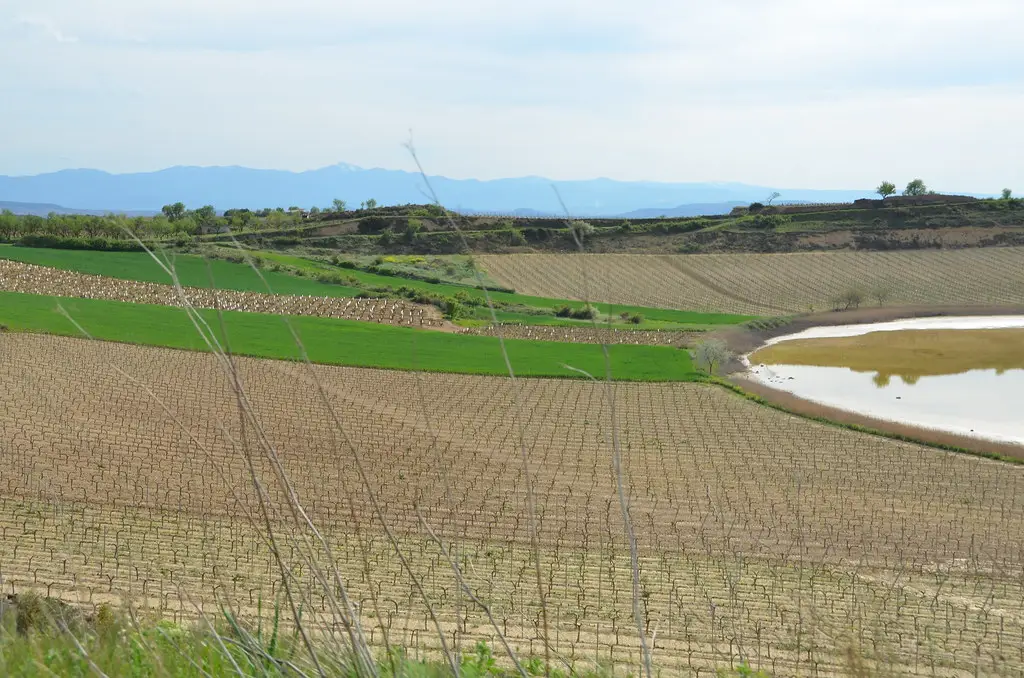 Laguardiako urmaelak. Lagunas de Laguardia.
