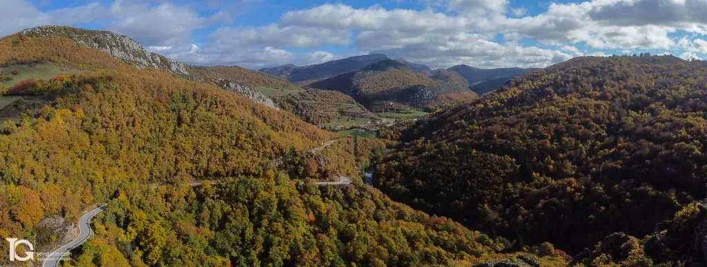 Selva de Irati (Navarra)