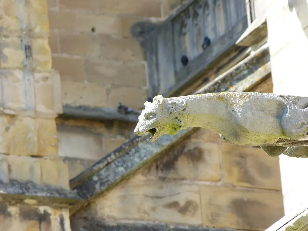 Cathédrale Sainte-Marie de Bayonne - gargouille 4