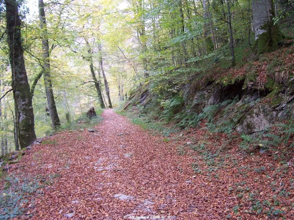 Sentier vers Olhadubie (2517515631)