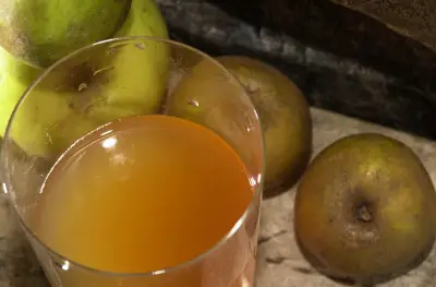 Basque Cider, Sagardoa