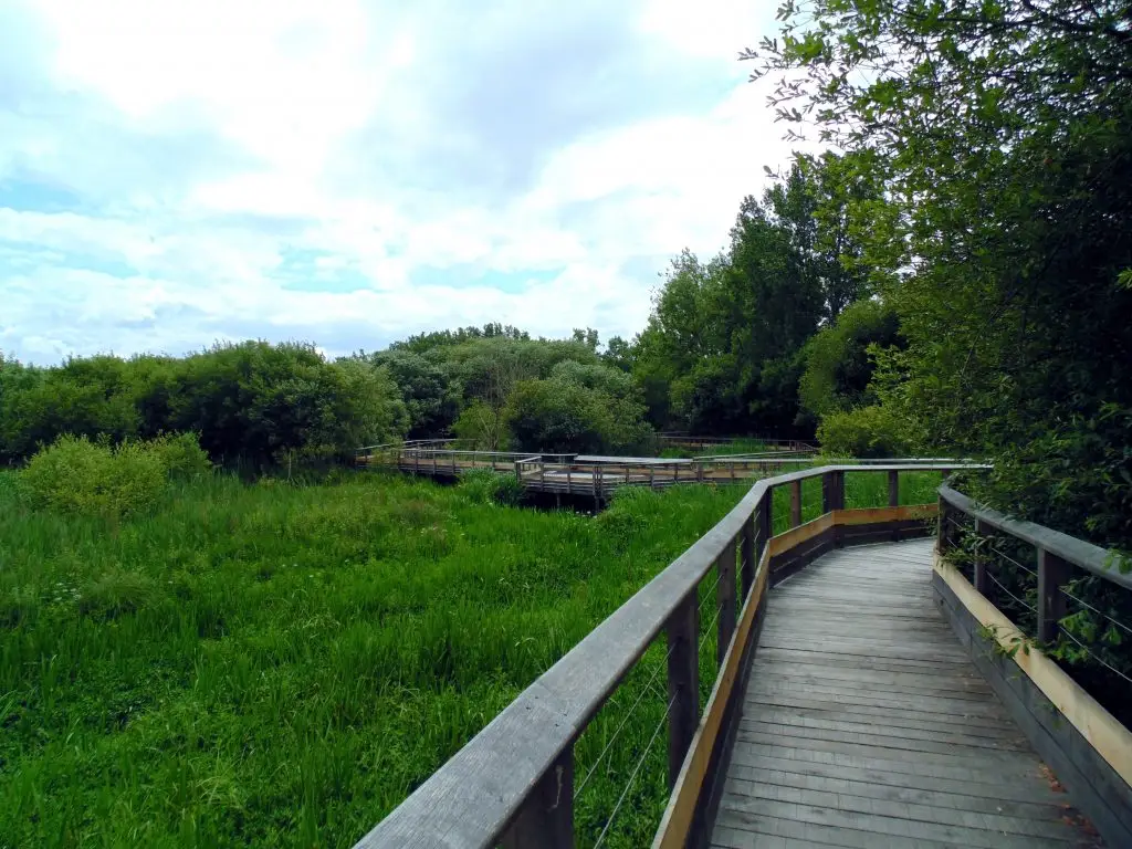Passerelle sur le Marais d'Orx