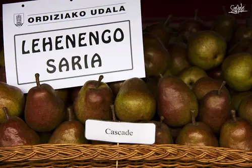 Feria de Ordizia'09 (1)