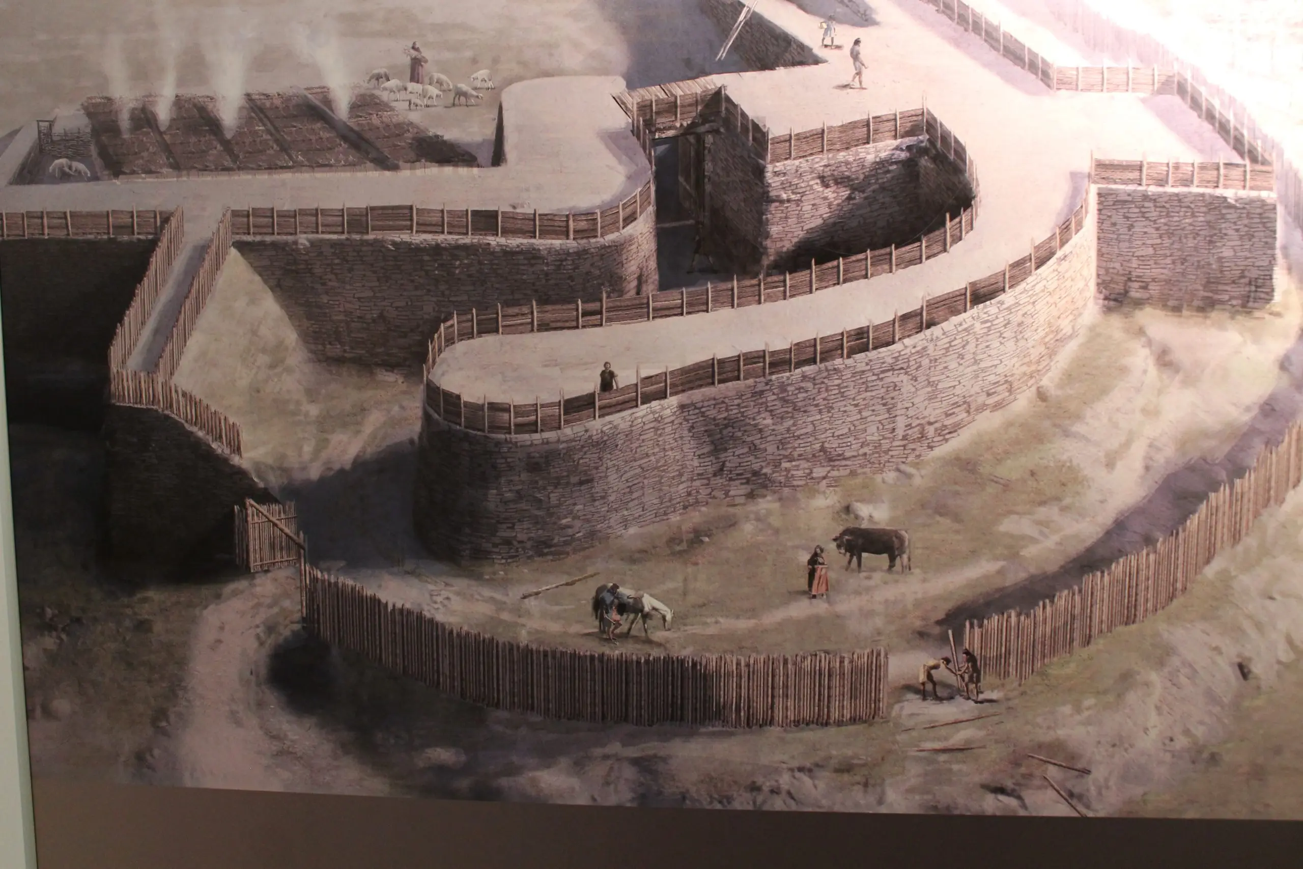 File:Exposición oppidum Arrola (13331131413).jpg