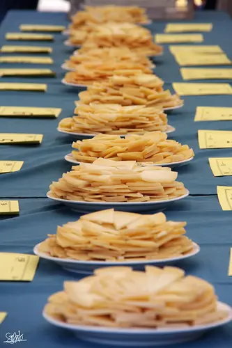 Artzain Eguna 2010 (6)