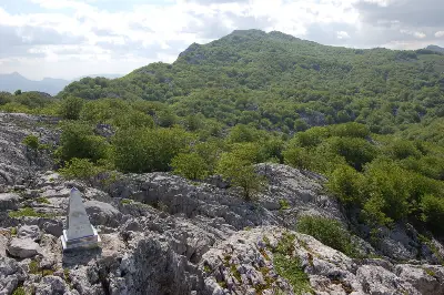 Hayedos de Itxina desde la cima de Axkorrigan