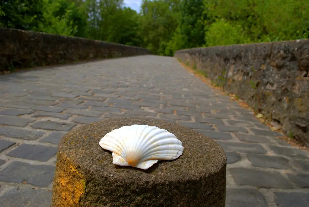 Bienvenido, peregrino