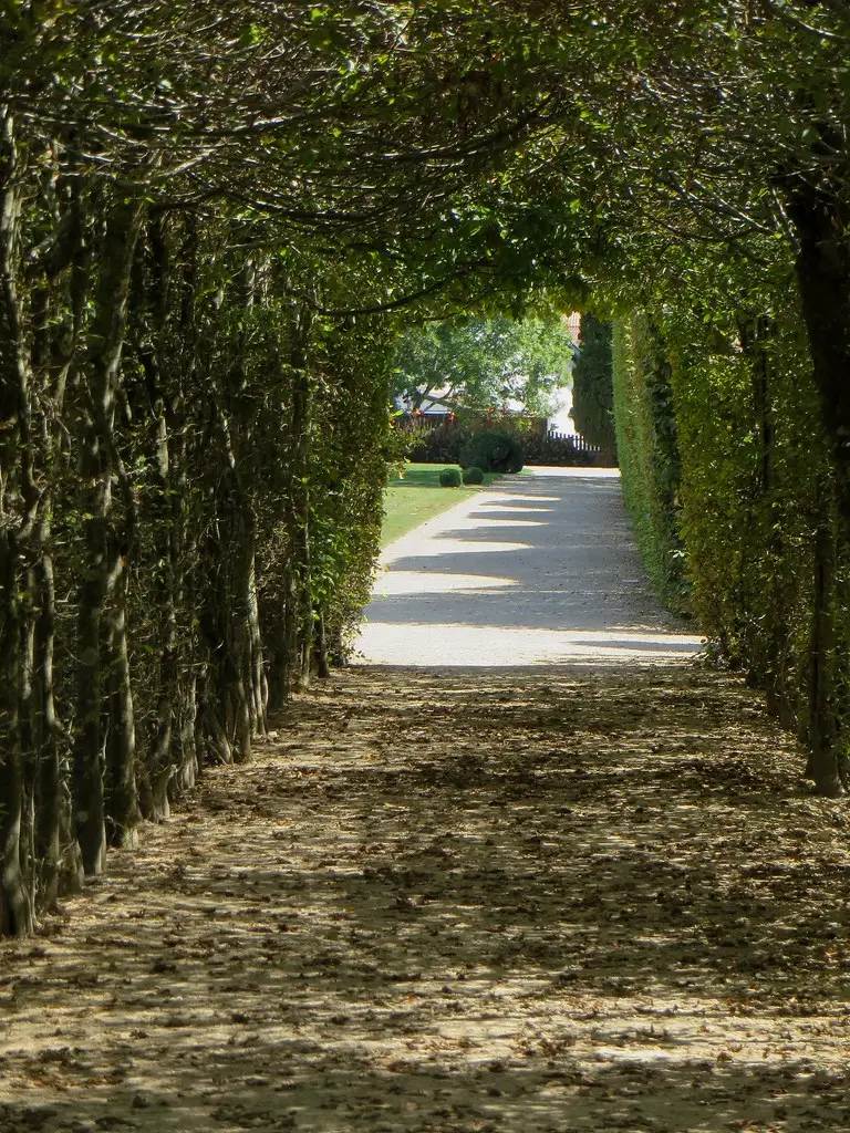 Dans le jardin sous les charmilles, villa Arnaga (1903-1906), Cambo-les-Bains, Labourd, Pays basque, Pyrénées Atlantiques, Aquitaine, France.