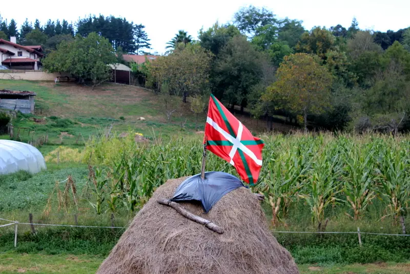 IKURRINA BELAR-METAN