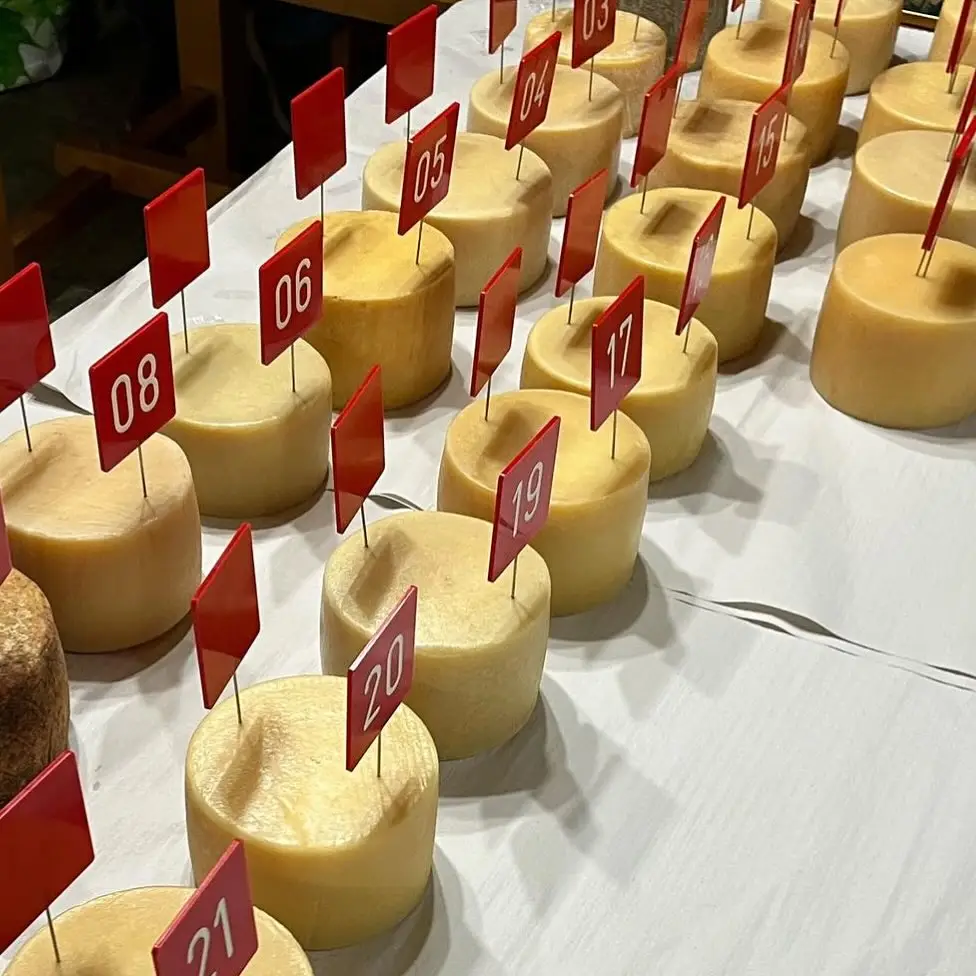 Artzai Eguna Uharte-Arakil