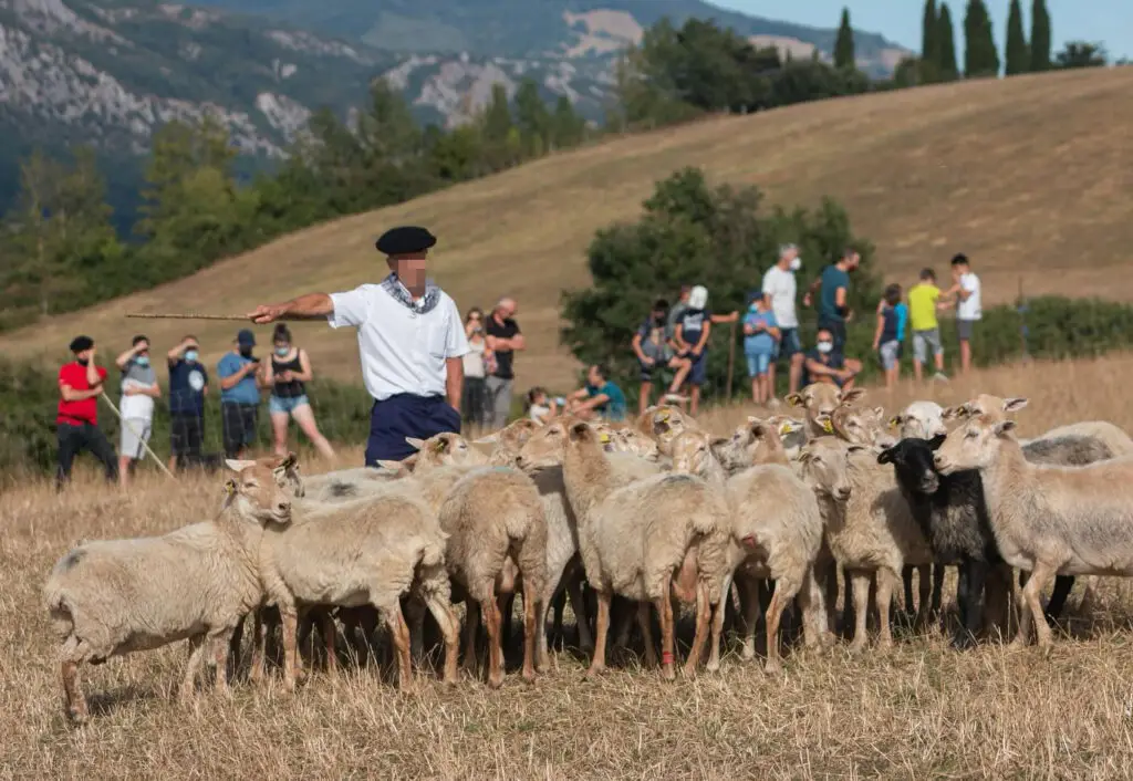 Artzai Eguna Uharte-Arakil