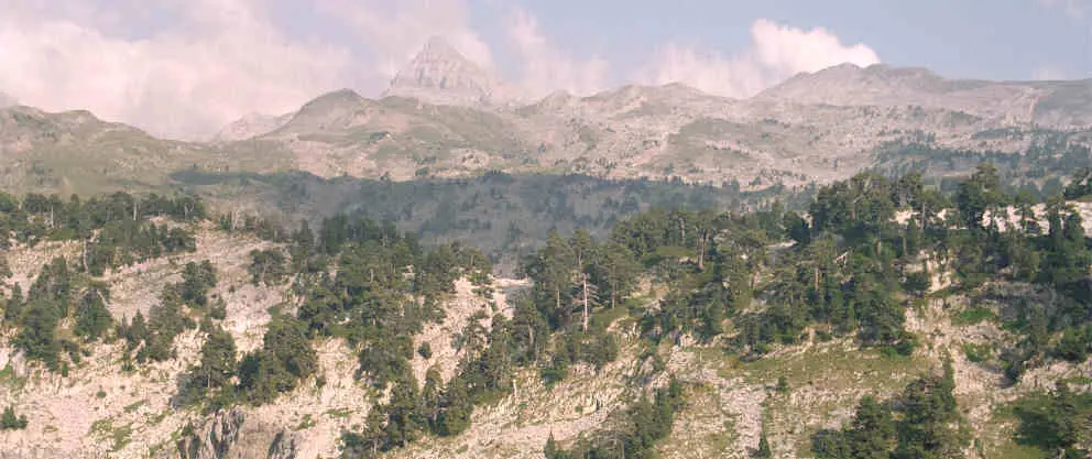 Macizo larra