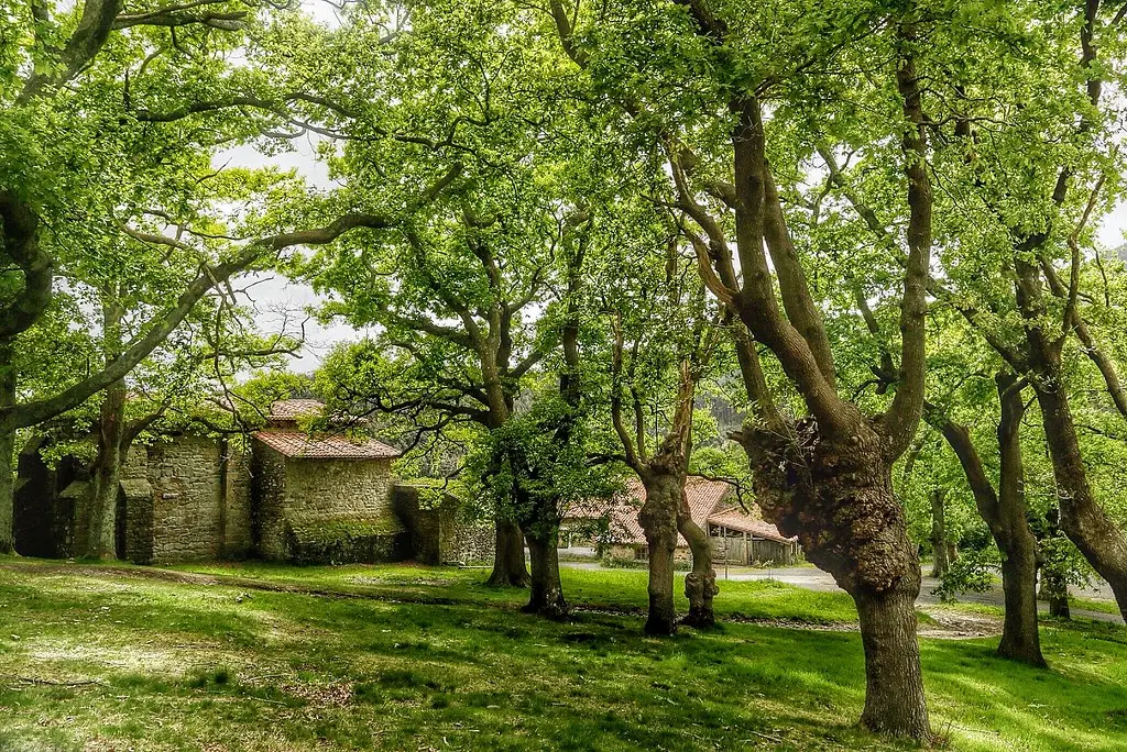 Paseando por Bizkaia Bakio