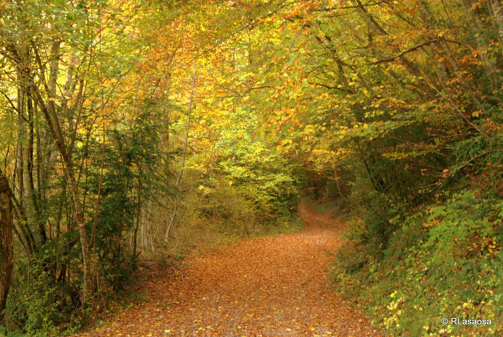 Erro - Zubiri, Camino de Santiago