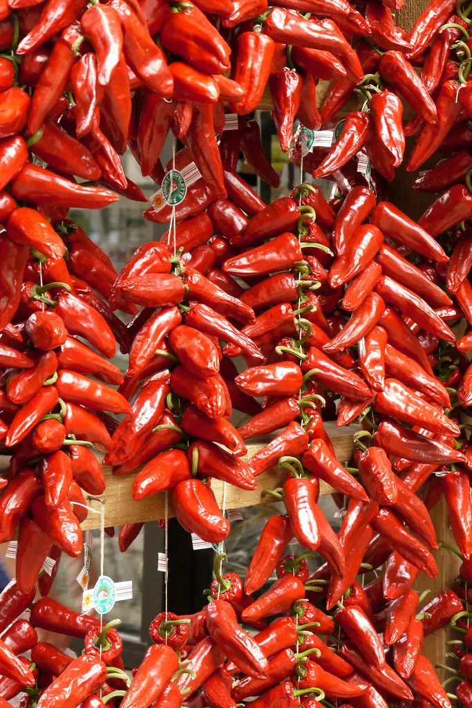 Drying Espelette pepper