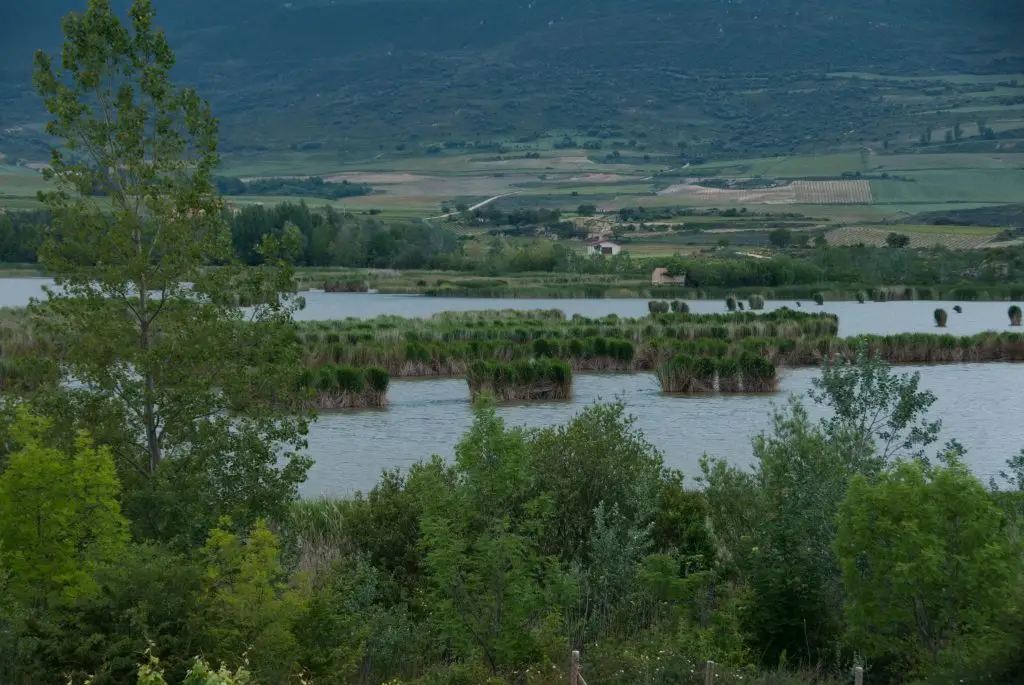 Lagunas de Laguardia 03