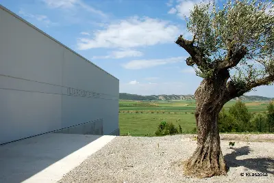 Villa de las Musas, Arellano