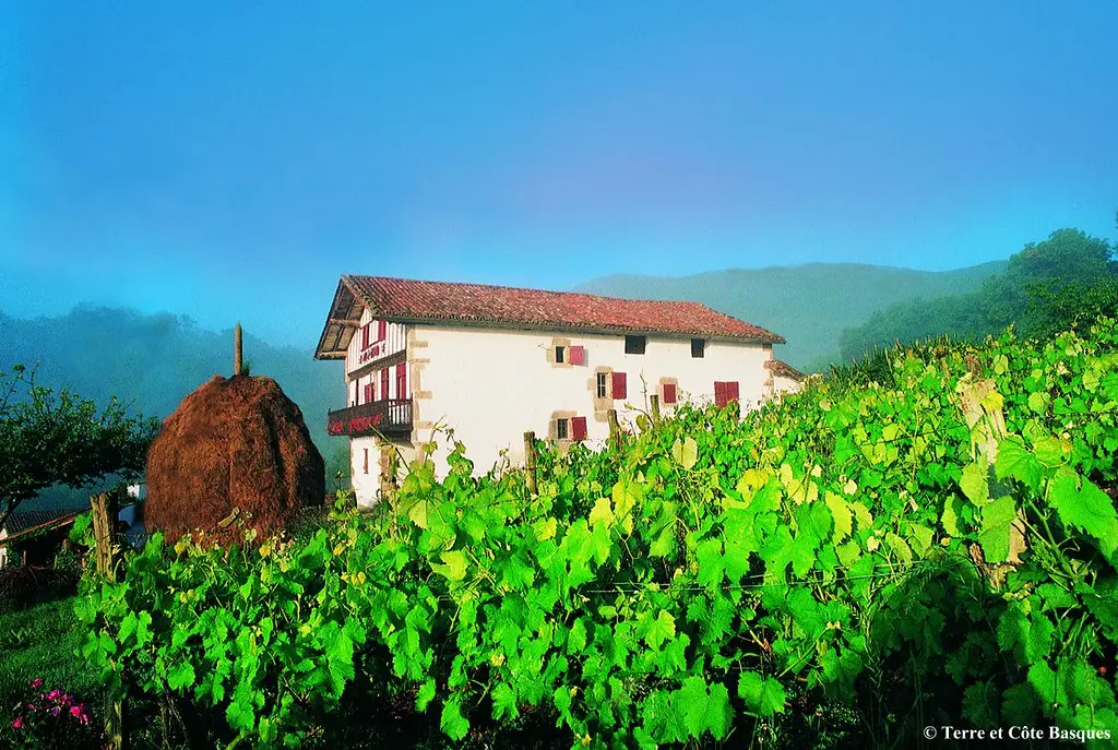 Maison Ortillopitz © Terre et Côte Basques