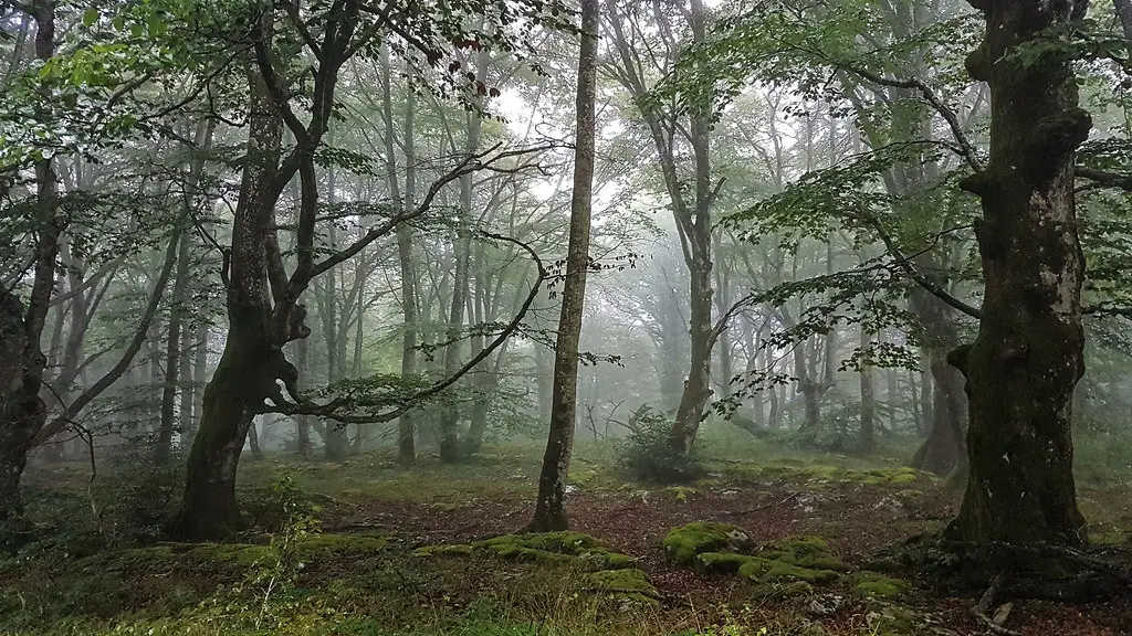 SPAIN - Region of VITORIA-GASTEIZ - Salto del Nervion (2)