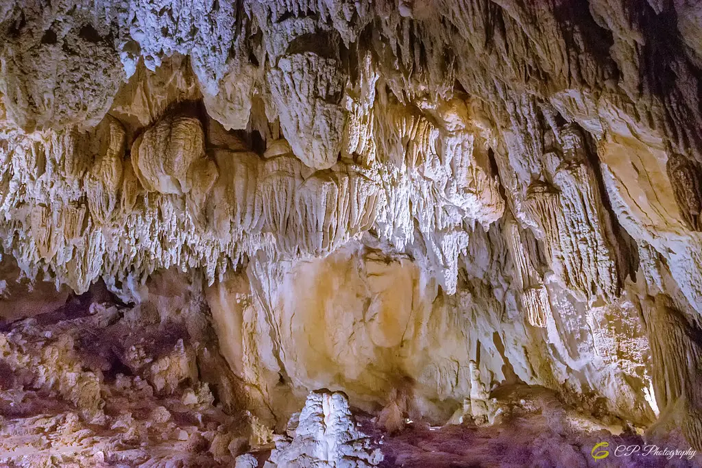 Cueva de Urdax ago.2022-245-Editar