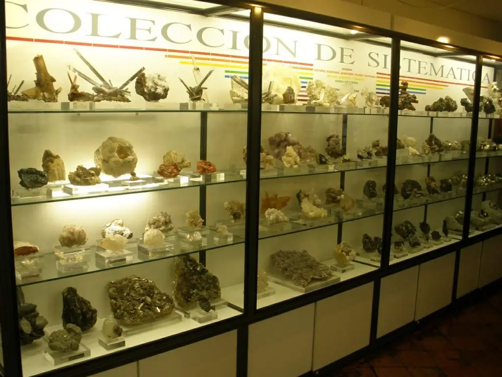 Vitoria - Museo de Ciencias Naturales de Álava 5