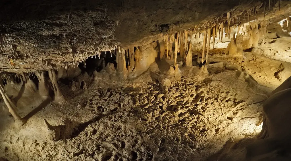 Espeleotemas - Cueva de Mendukilo, Astitz (Navarra, España) - 06