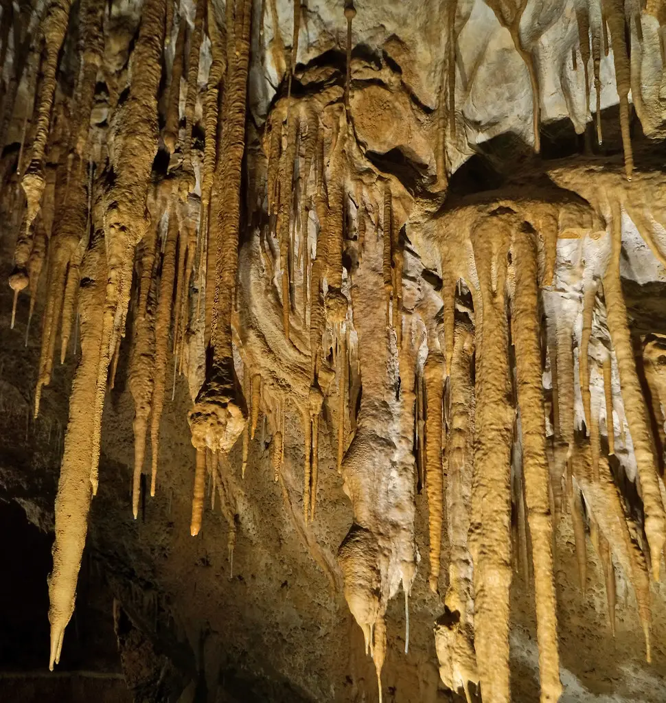 Espeleotemas - Cueva de Mendukilo, Astitz (Navarra, España) - 08