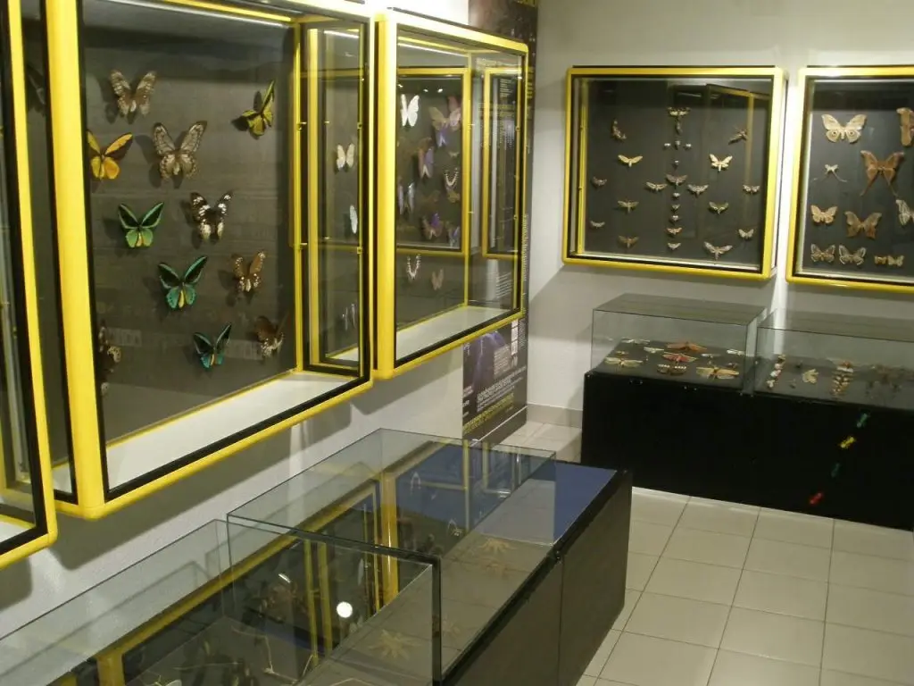 Vitoria - Museo de Ciencias Naturales de Álava 1