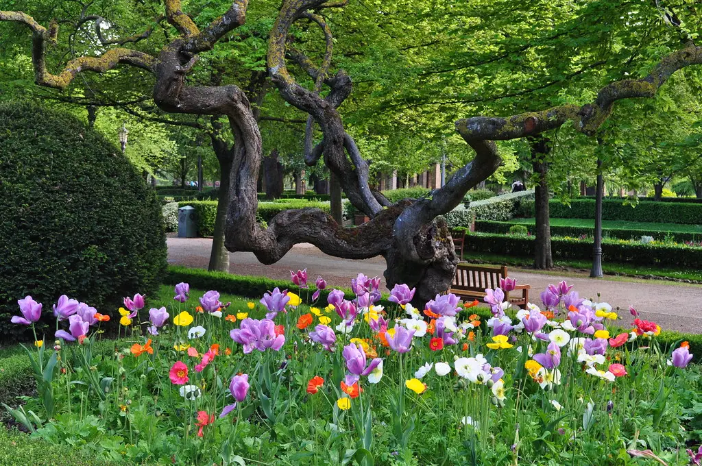 Souvenirs du printemps, Parc de la Taconera, Pampelune, Navarre, Espagne.