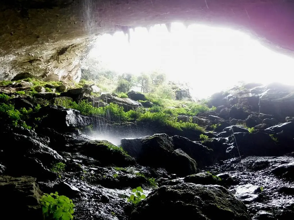 17495292_1296253243822117_8246671309530988544_n