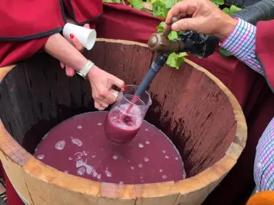 Wine Harvest Festival of Navarre