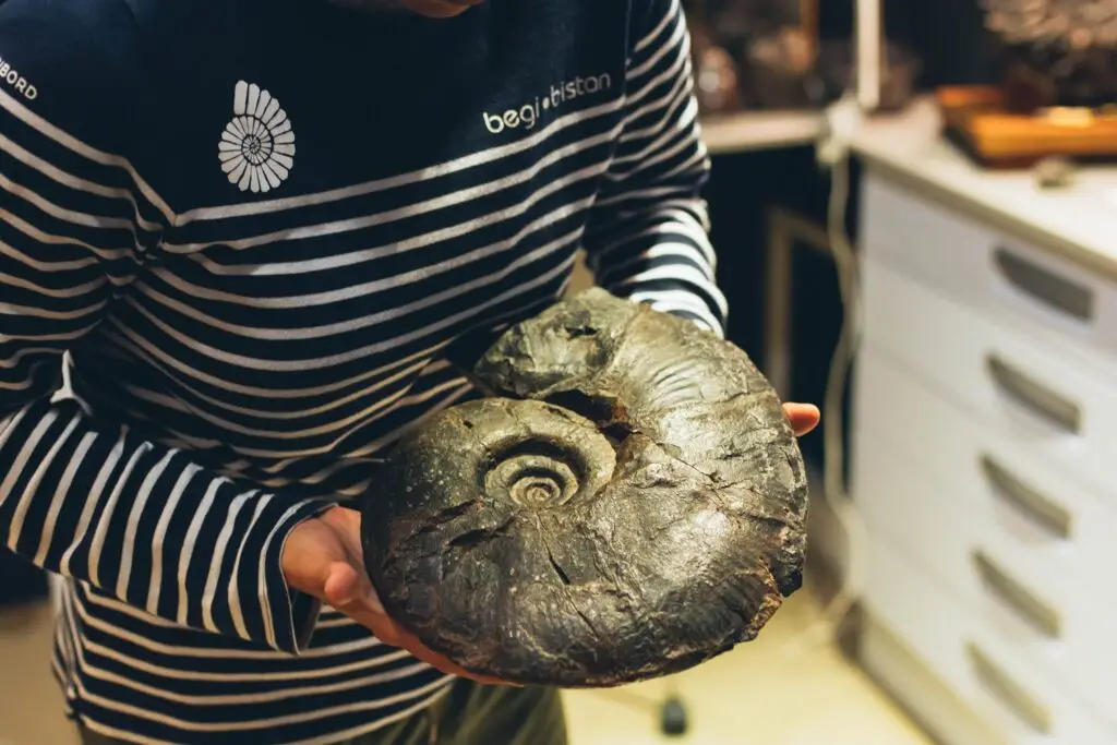 Nautilus Ikasgune Geologikoa