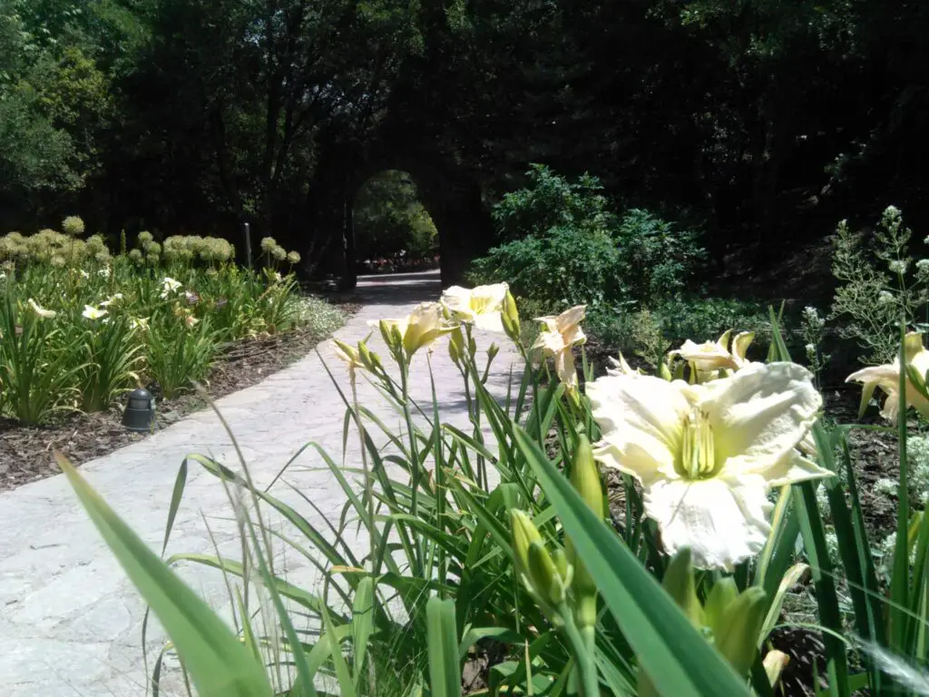 Santa Catalina Botanical Garden