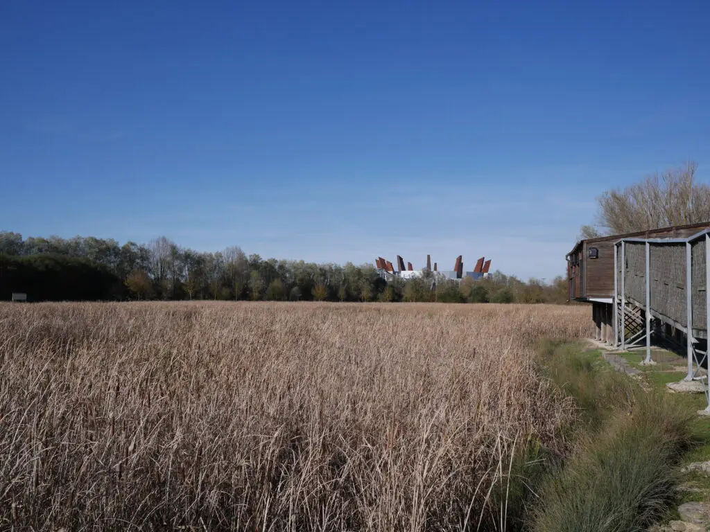 Buesa arena salburua 01