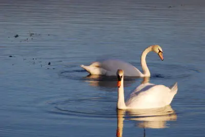 Plaiaundi Ecological Park