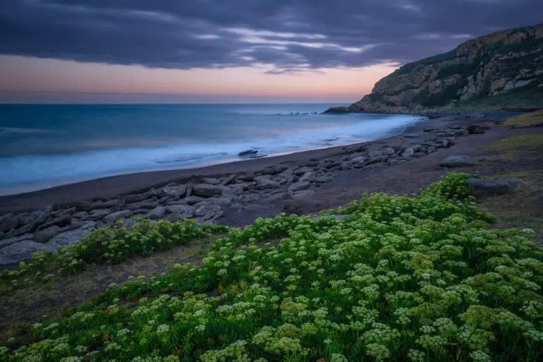 Best Beaches Near Bilbao for a Relaxed and Fun Day
