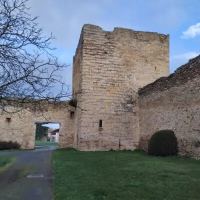 Castle-Palace of Arazuri