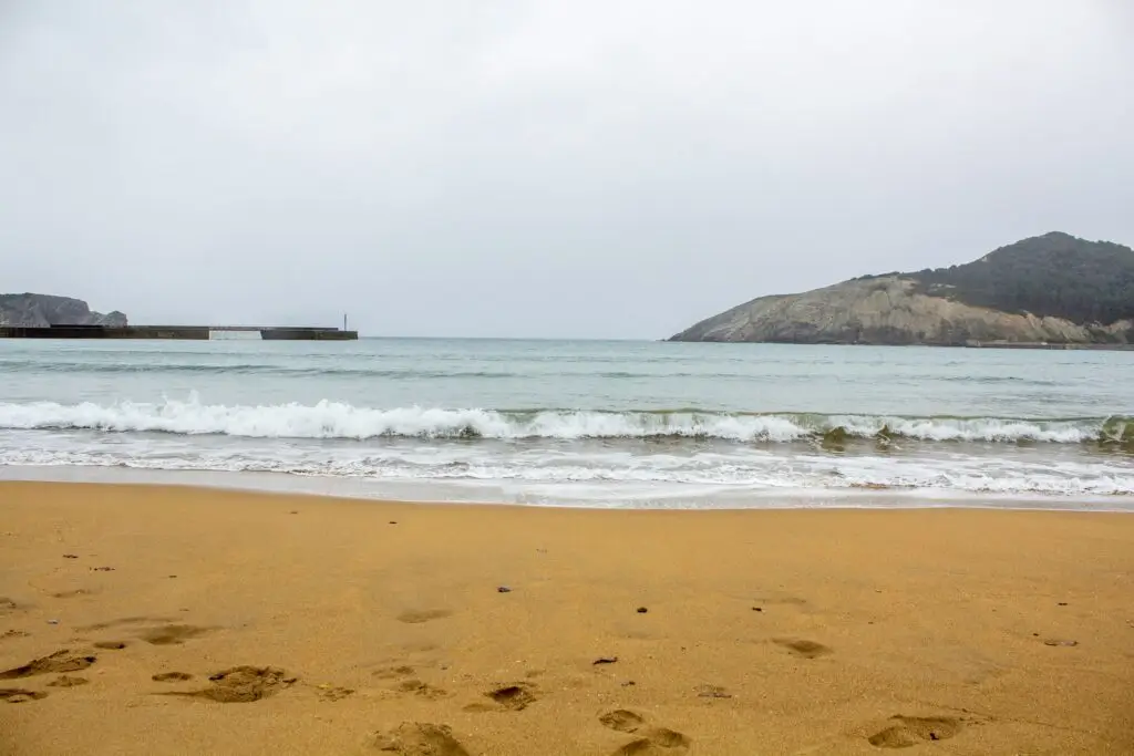sea waves on shore
