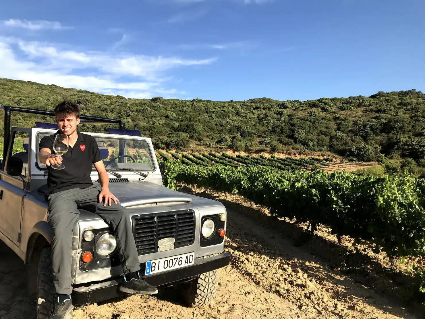 Olite winery tour and tasting of 3 wines