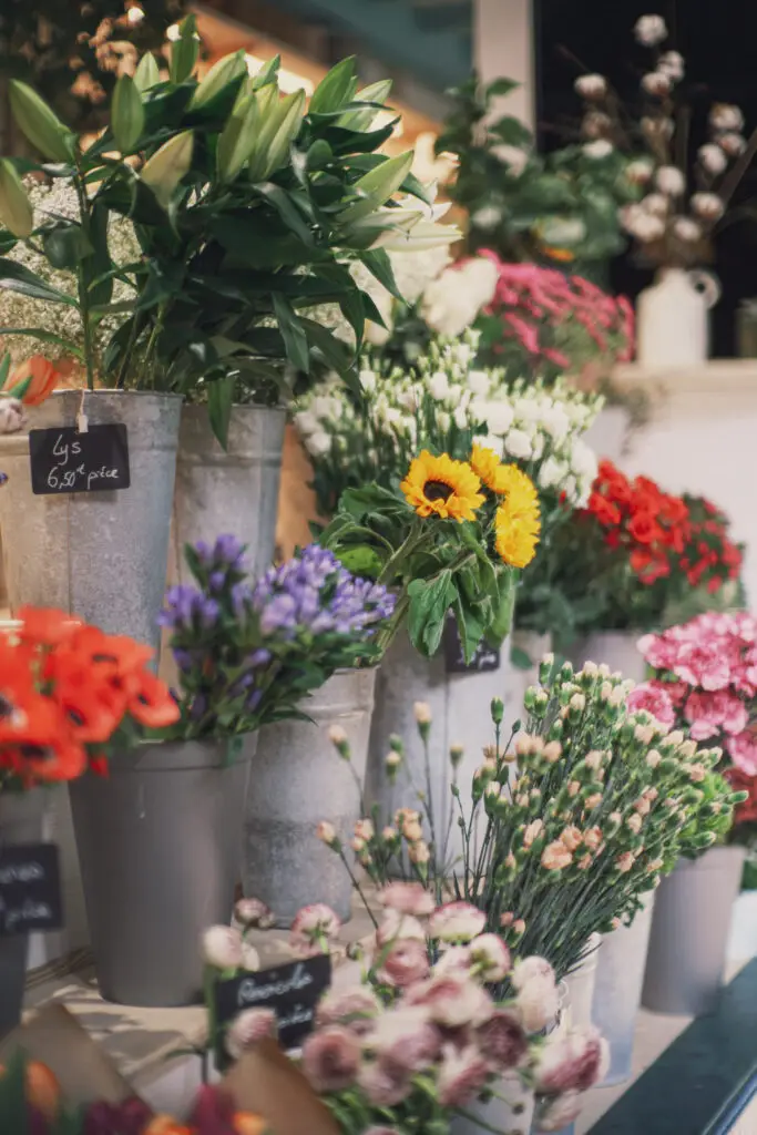 Les Halles Saint Jean de Luz 5